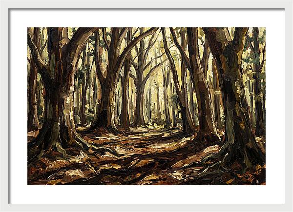 Beech Forest Cathedral