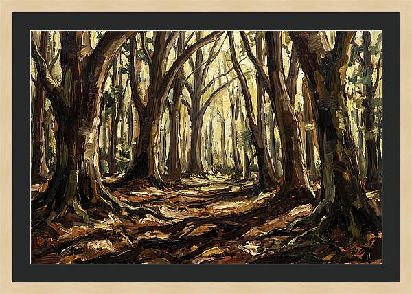 Beech Forest Cathedral