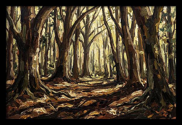Beech Forest Cathedral