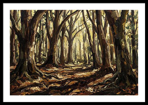 Beech Forest Cathedral