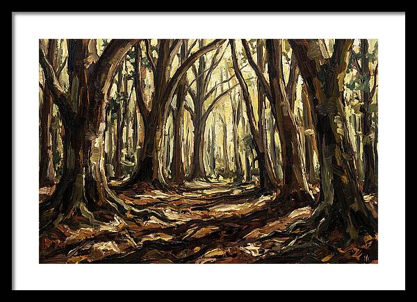Beech Forest Cathedral