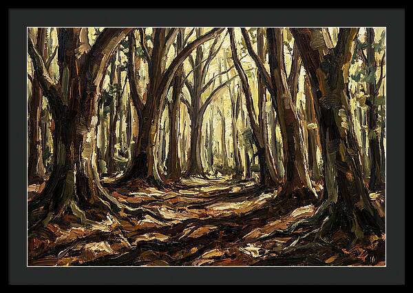 Beech Forest Cathedral