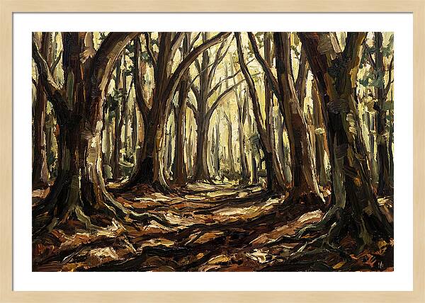 Beech Forest Cathedral