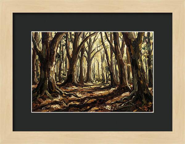Beech Forest Cathedral