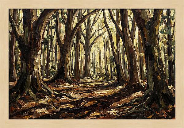 Beech Forest Cathedral