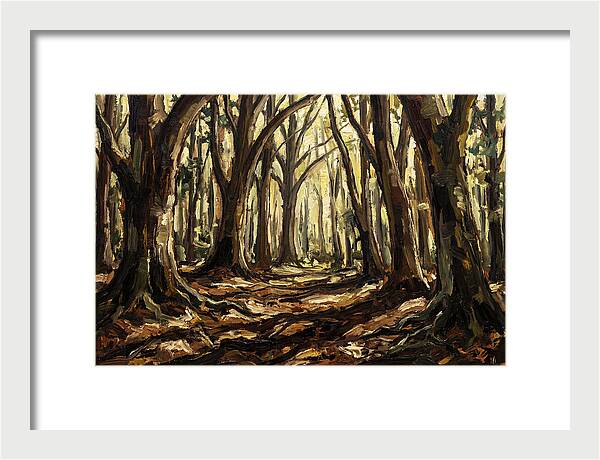 Beech Forest Cathedral