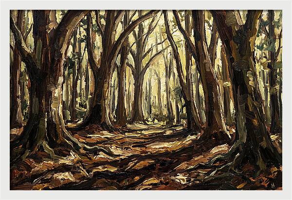 Beech Forest Cathedral