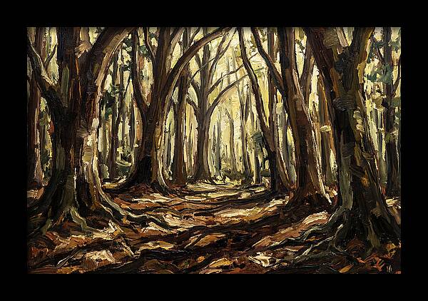 Beech Forest Cathedral