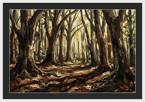 Beech Forest Cathedral