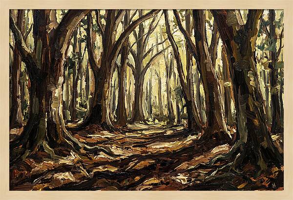 Beech Forest Cathedral