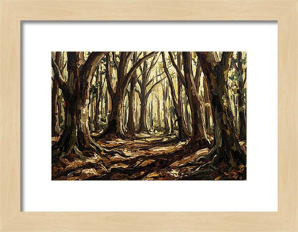 Beech Forest Cathedral