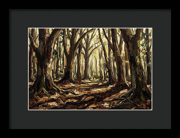 Beech Forest Cathedral