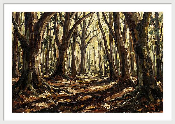 Beech Forest Cathedral