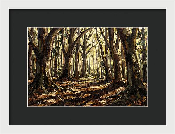 Beech Forest Cathedral
