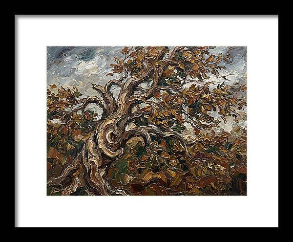 Beech Tree In Autumn