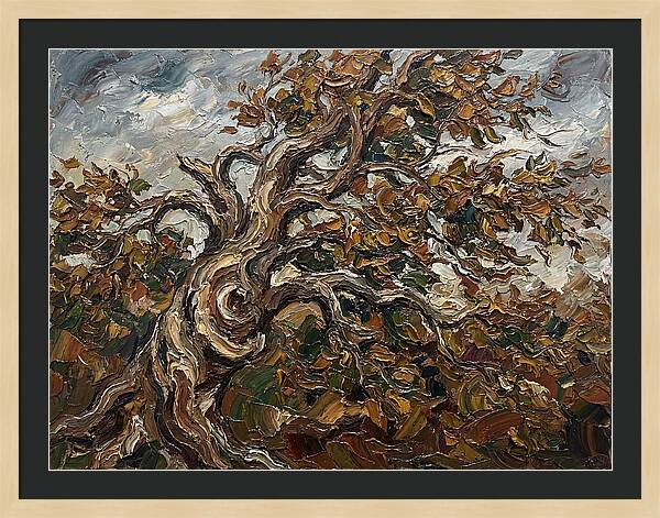Beech Tree In Autumn