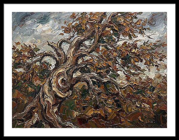 Beech Tree In Autumn