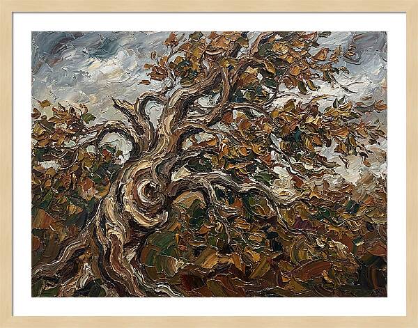 Beech Tree In Autumn