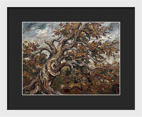 Beech Tree In Autumn