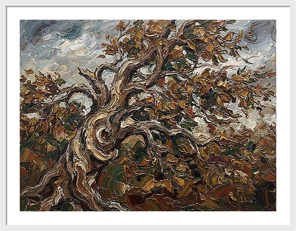 Beech Tree In Autumn