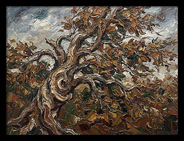 Beech Tree In Autumn