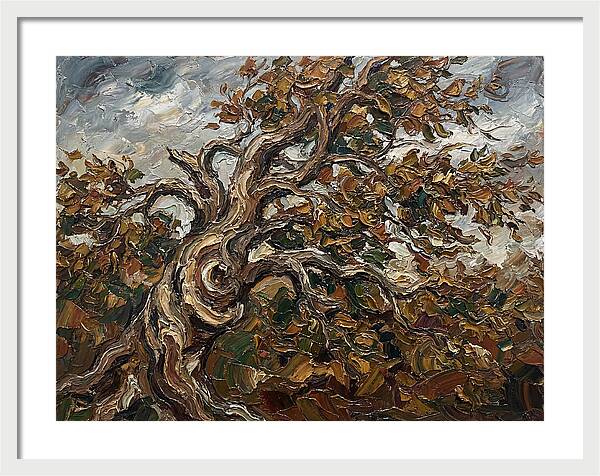 Beech Tree In Autumn