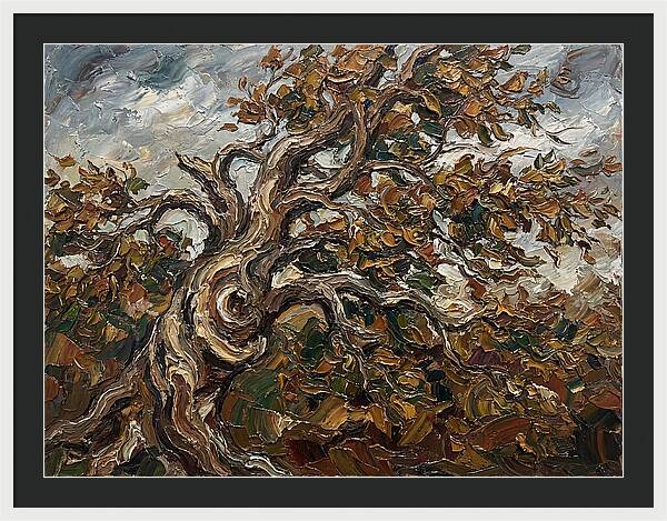Beech Tree In Autumn