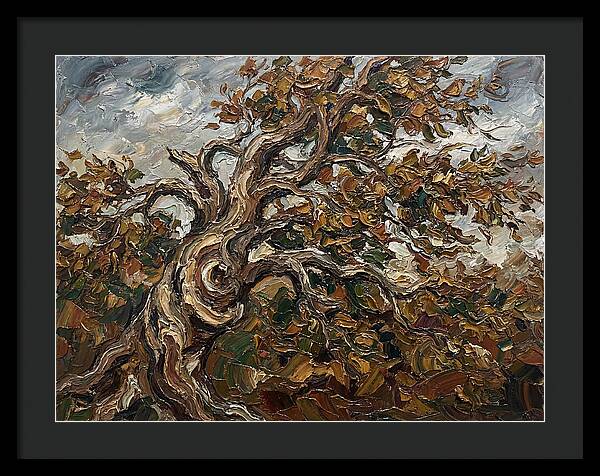 Beech Tree In Autumn