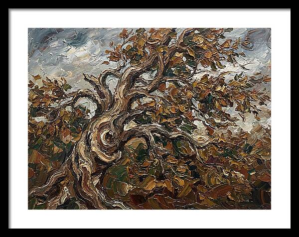 Beech Tree In Autumn