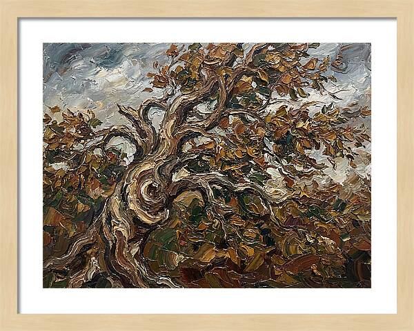 Beech Tree In Autumn