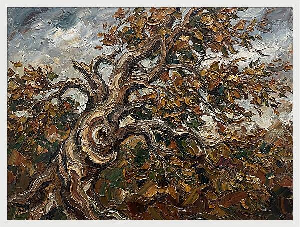 Beech Tree In Autumn