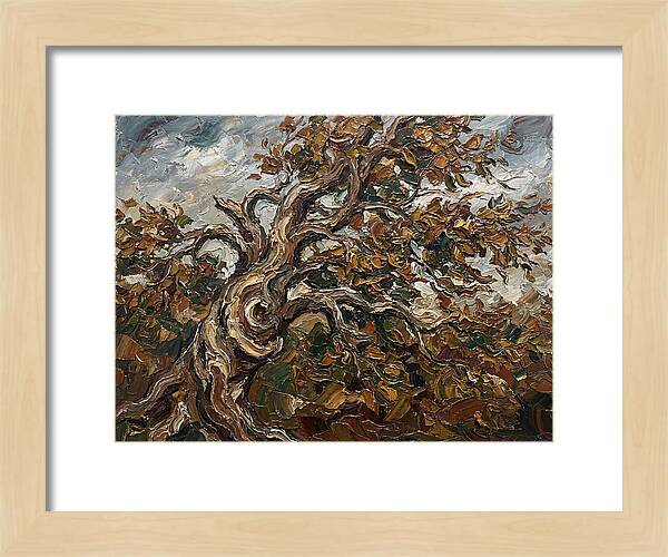 Beech Tree In Autumn