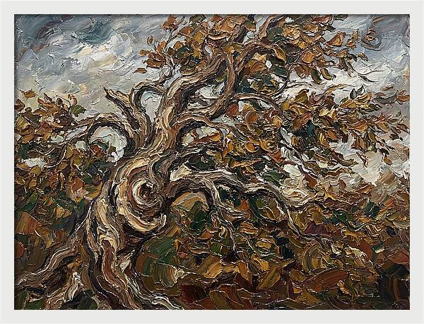 Beech Tree In Autumn