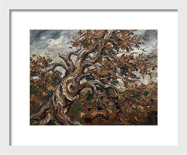 Beech Tree In Autumn