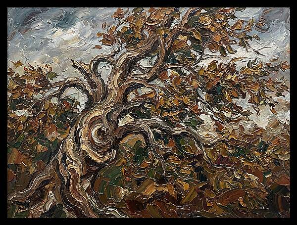 Beech Tree In Autumn