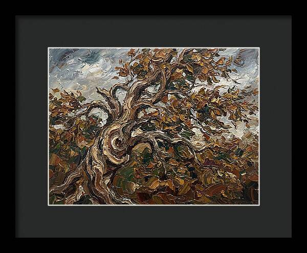 Beech Tree In Autumn