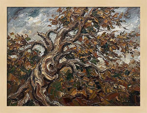 Beech Tree In Autumn