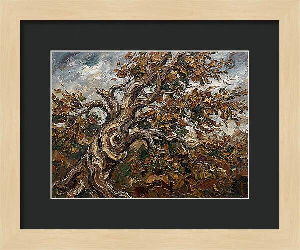 Beech Tree In Autumn