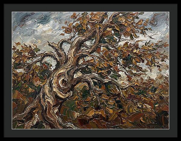 Beech Tree In Autumn