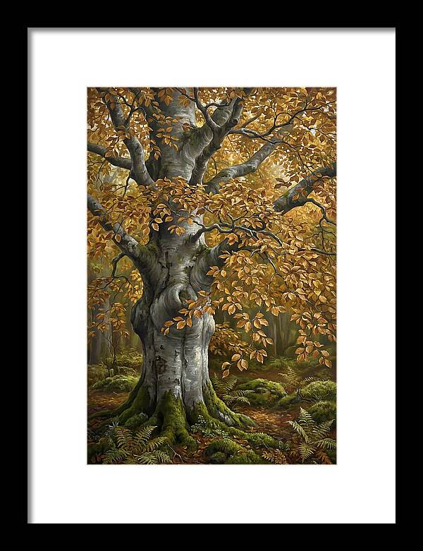 Beech Tree In Autumn Splendor