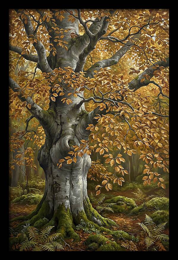 Beech Tree In Autumn Splendor