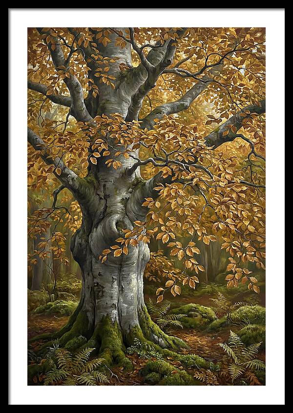 Beech Tree In Autumn Splendor