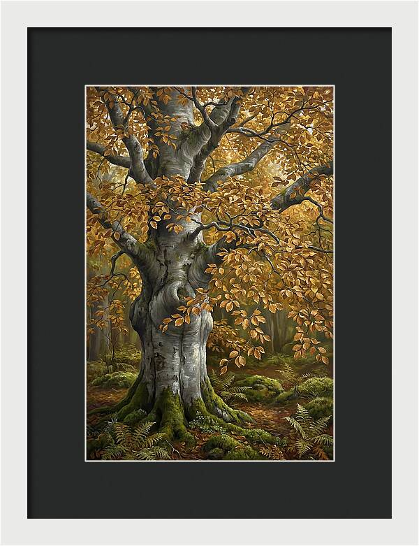 Beech Tree In Autumn Splendor