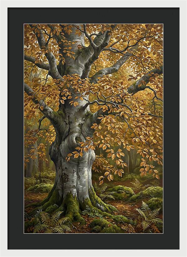 Beech Tree In Autumn Splendor