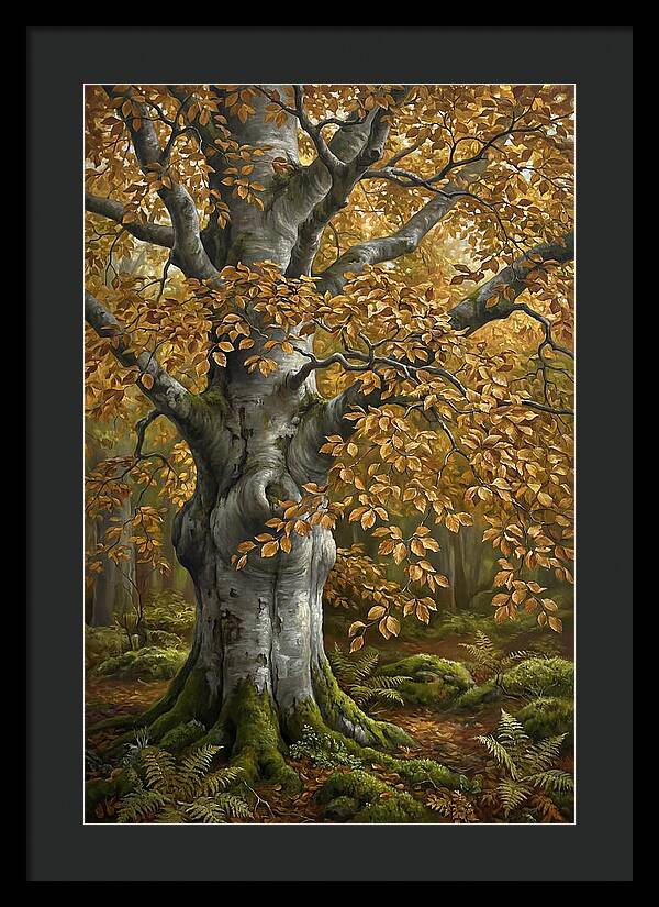 Beech Tree In Autumn Splendor