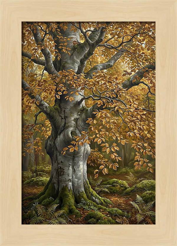 Beech Tree In Autumn Splendor