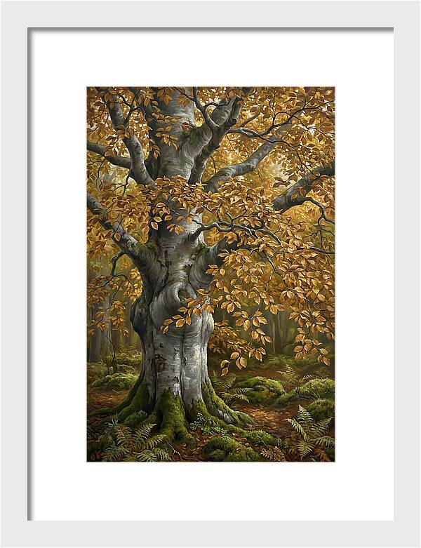 Beech Tree In Autumn Splendor