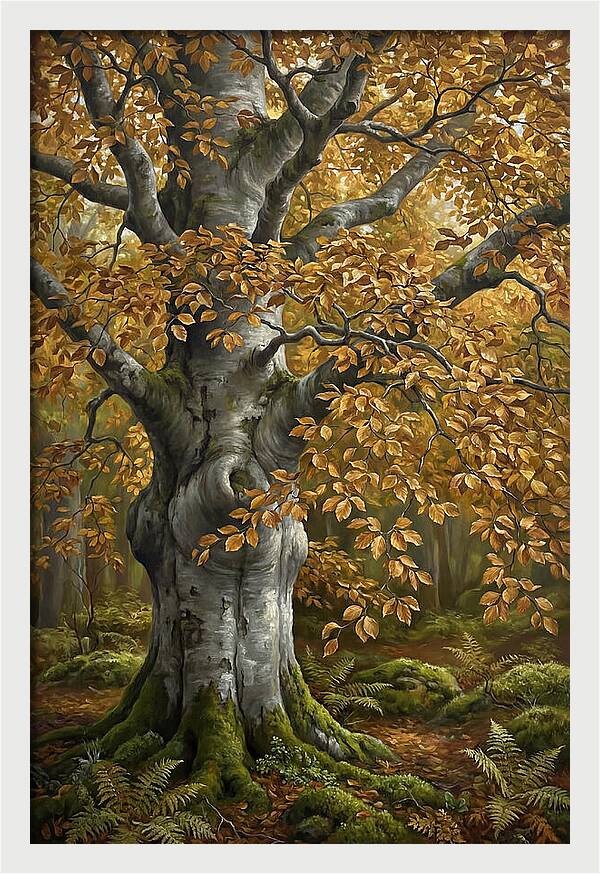 Beech Tree In Autumn Splendor