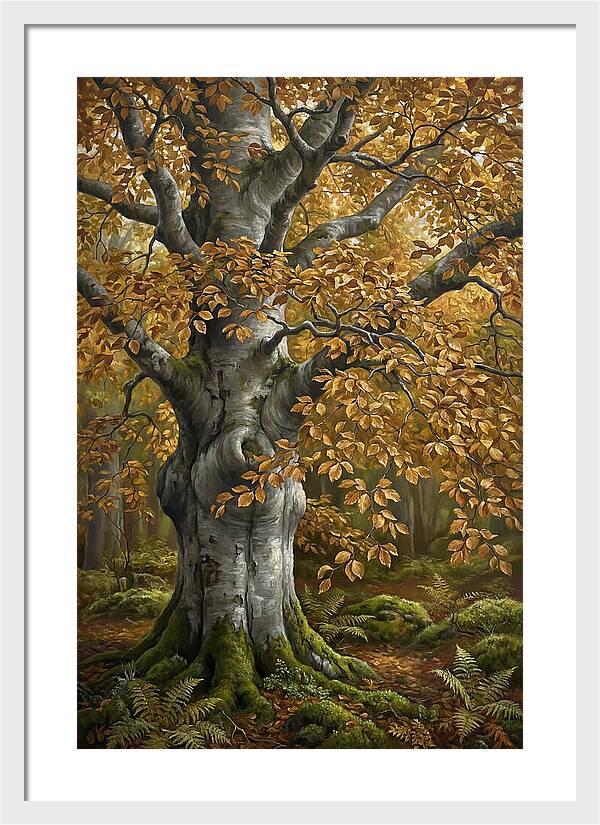 Beech Tree In Autumn Splendor