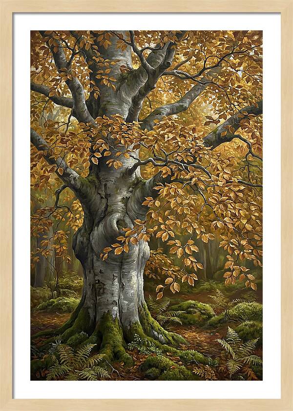 Beech Tree In Autumn Splendor